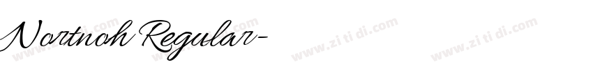 Nortnoh Regular字体转换